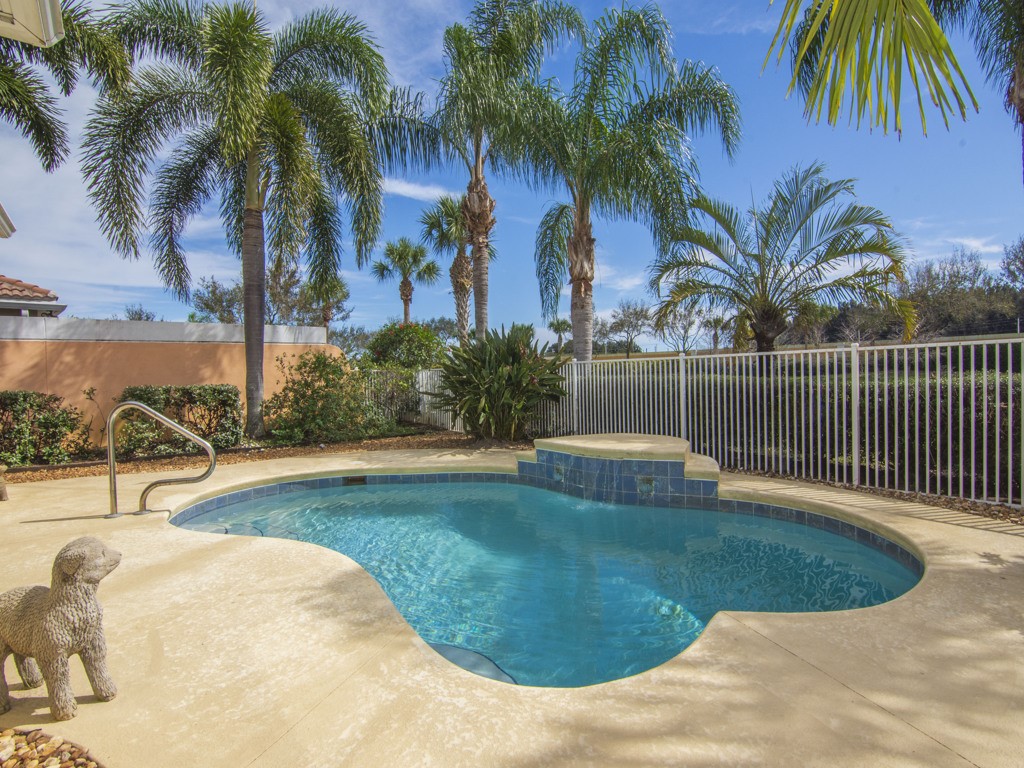 a view of a swimming pool with a garden