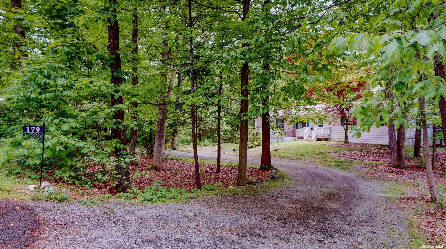 a view of some trees in the forest