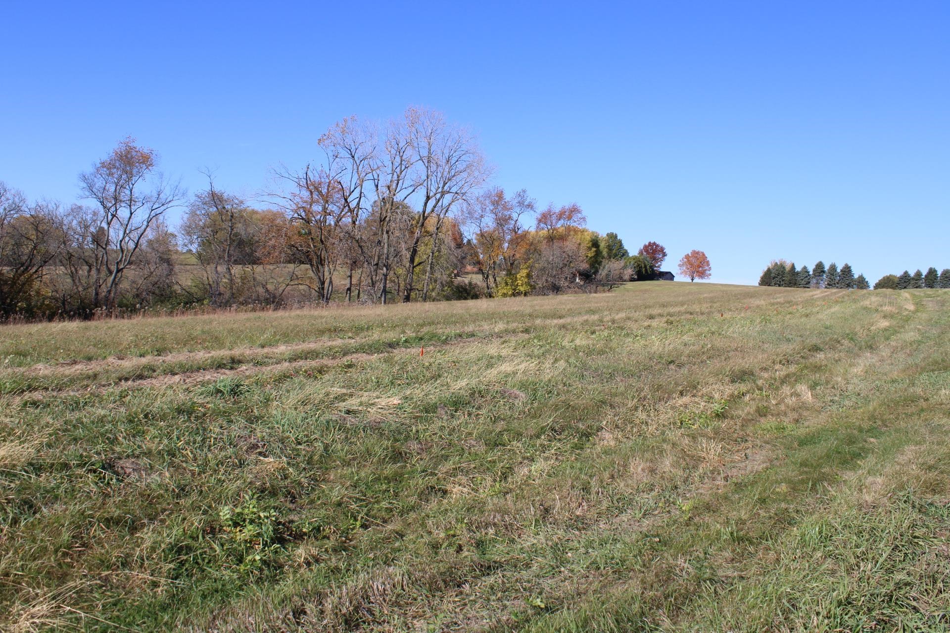 a view of dirt field and trees in the background