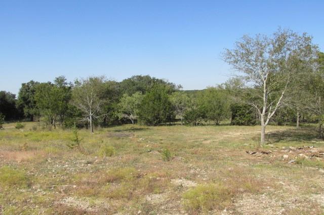 a view of a field with trees in the background