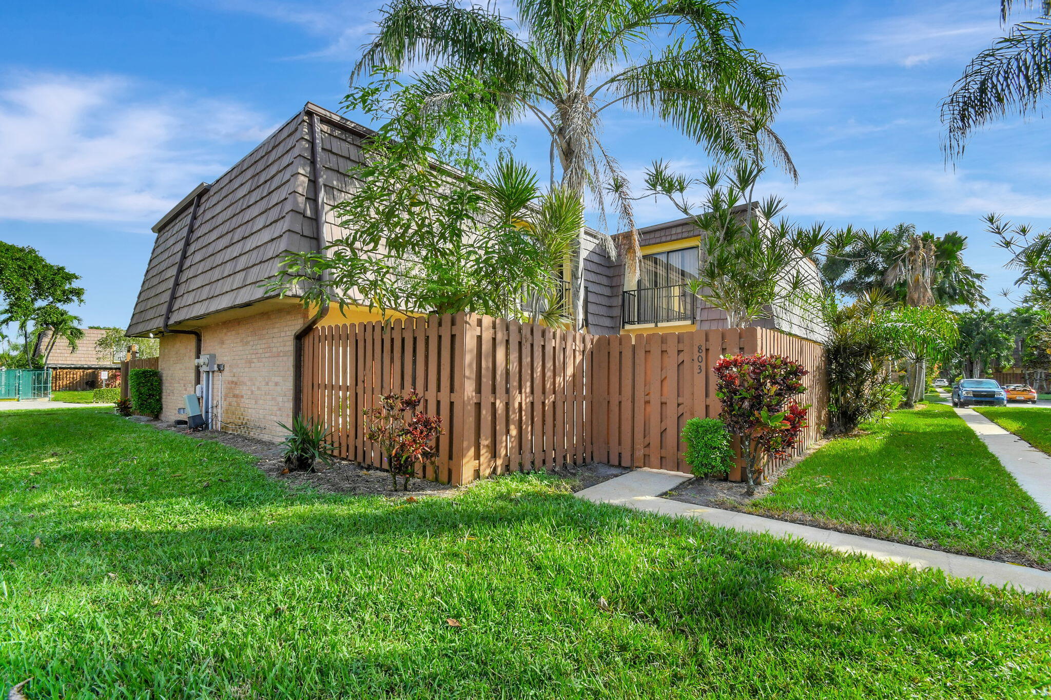 a view of a backyard with a plants and palm trees