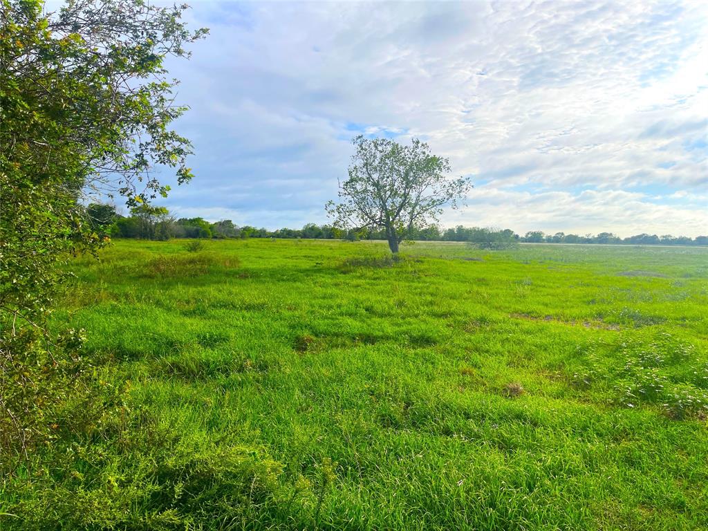 a big yard with lots of green space