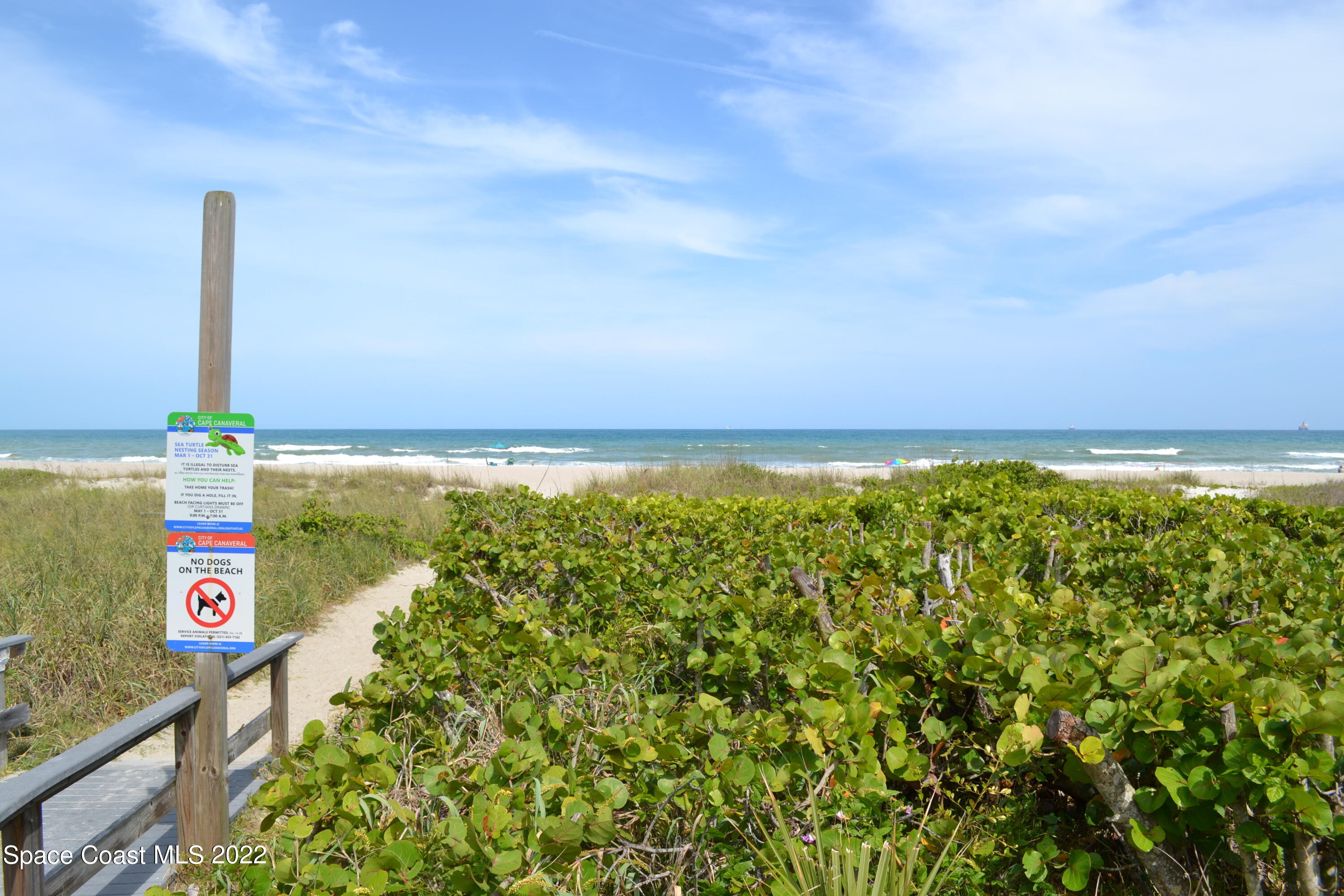 are dogs allowed on cape canaveral beach