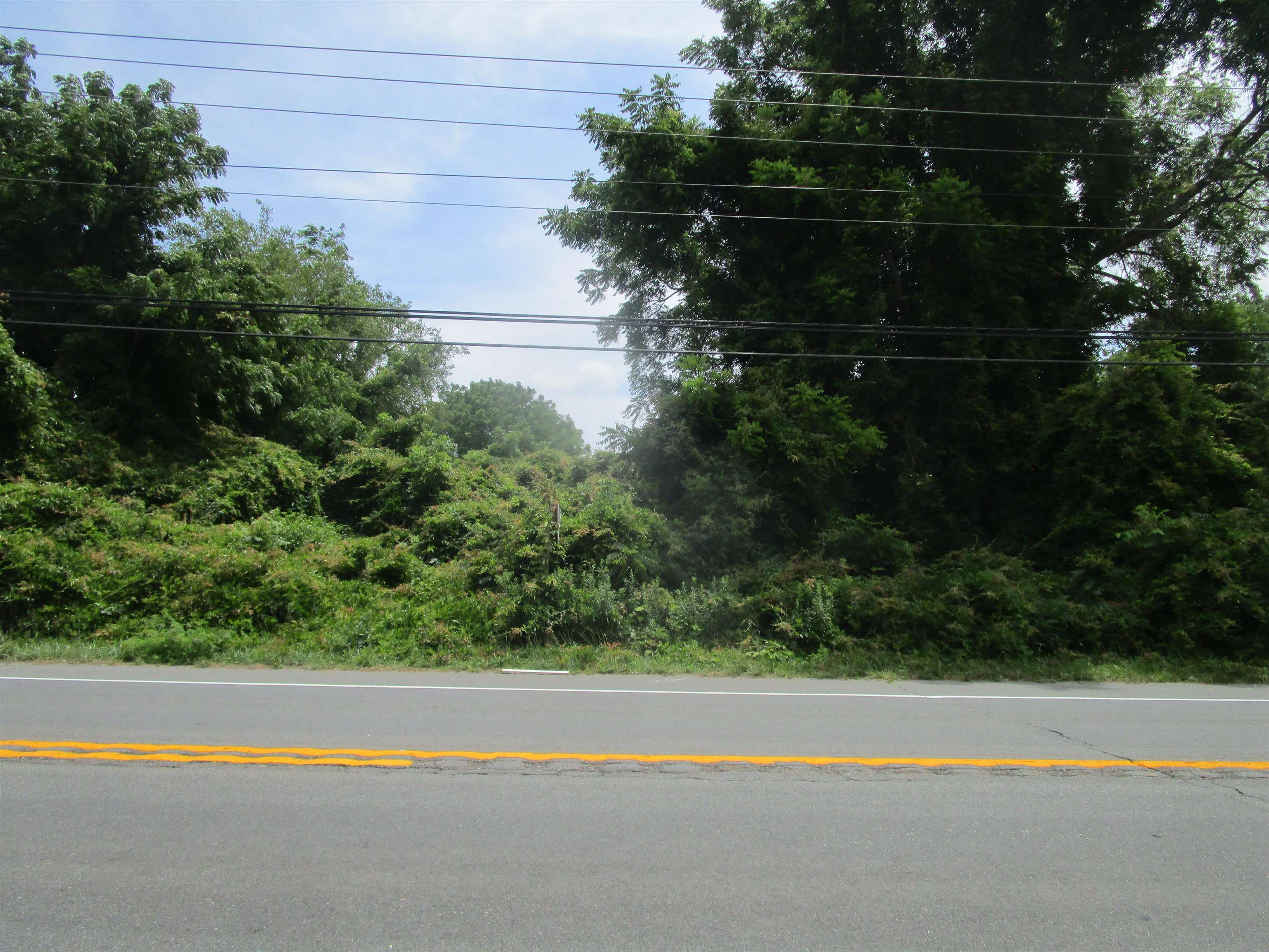 a view of street and trees in the background