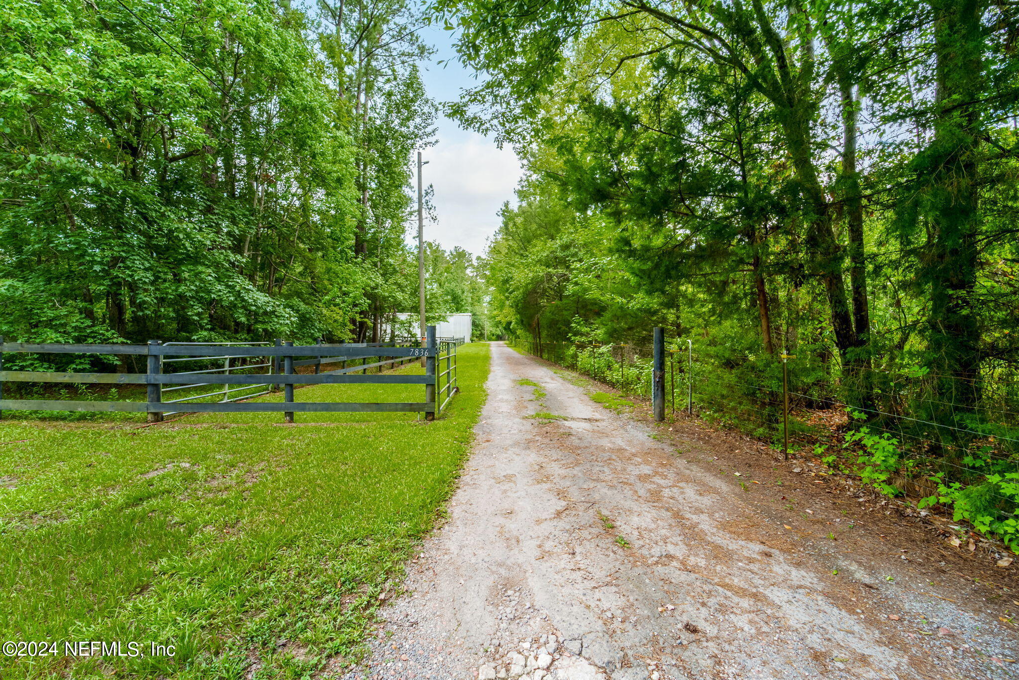 10-web-or-mls-7836-townsend-rd