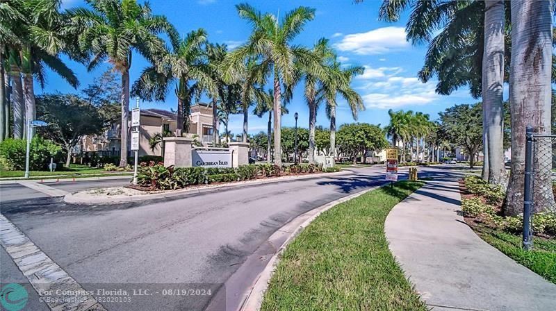 a view of a park with palm trees