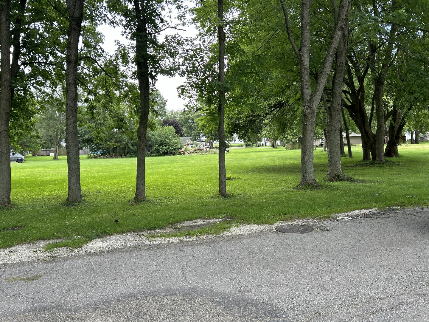 a view of a trees in a park