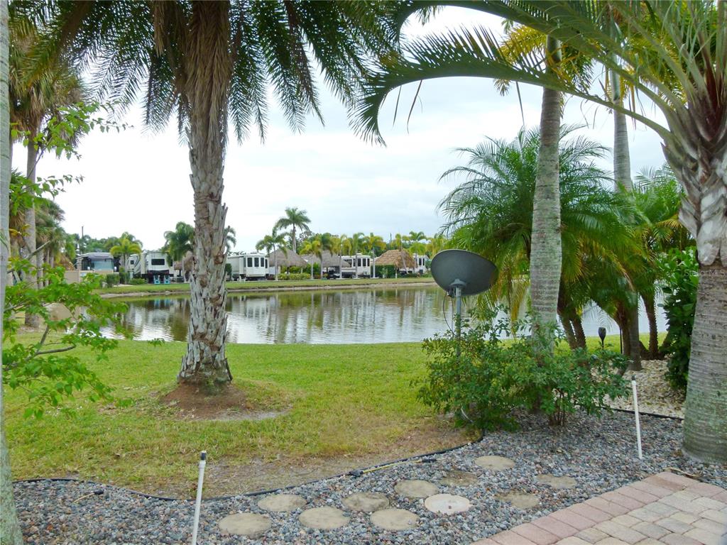 a view of a lake view with a palm trees