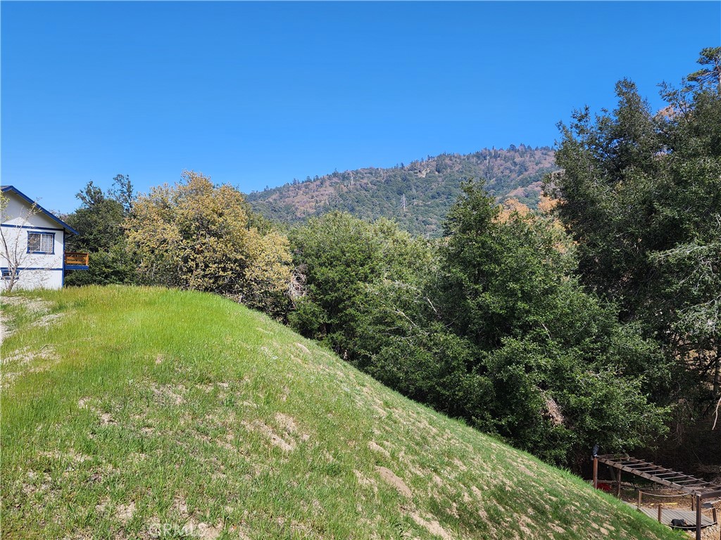 a view of a big yard with large trees