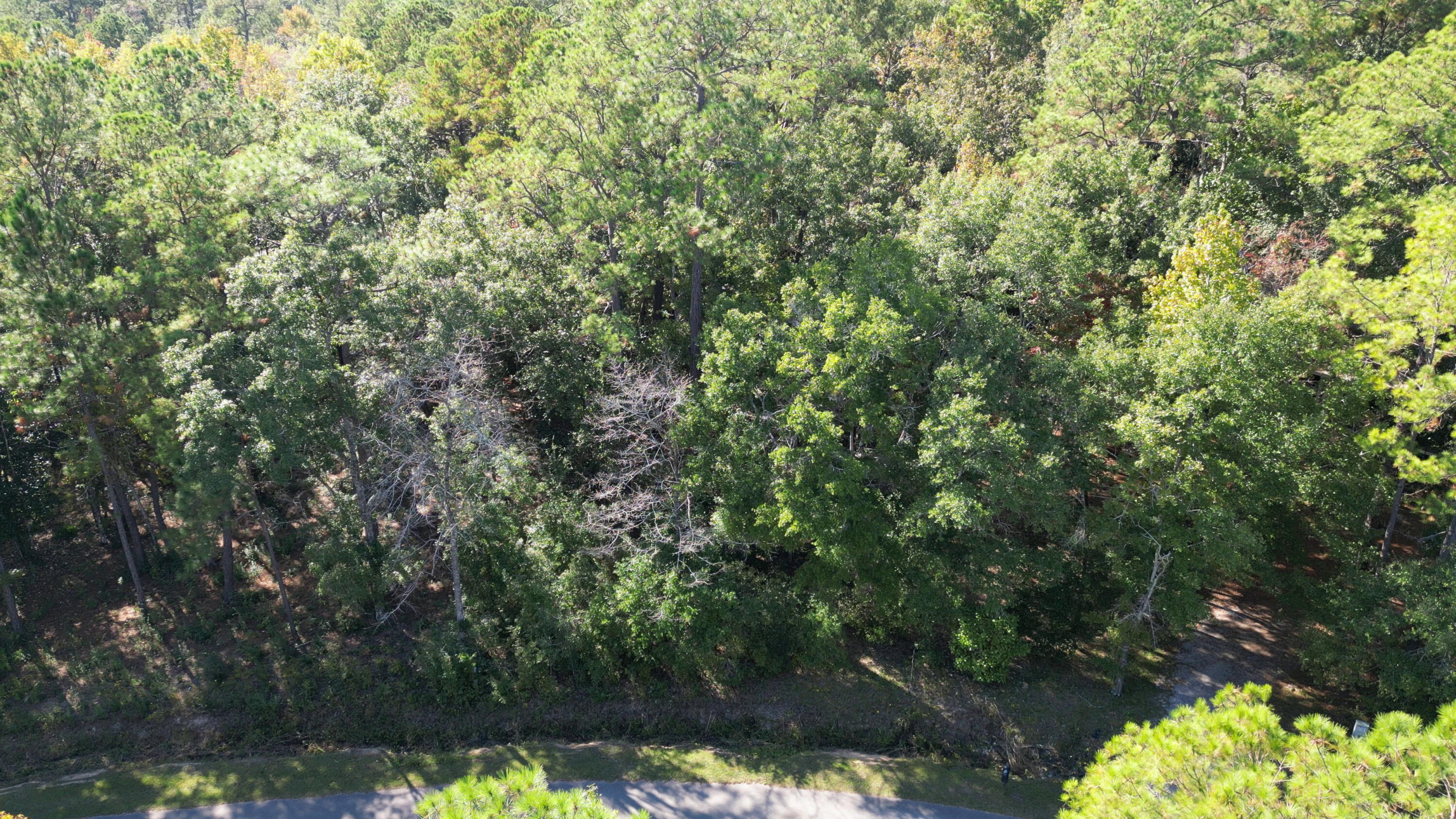 a view of a yard