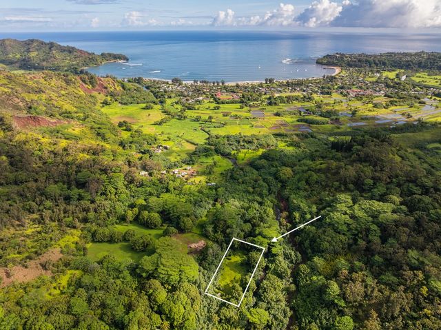 $1,675,000 | Kuhio Highway | Halele'a-Napali