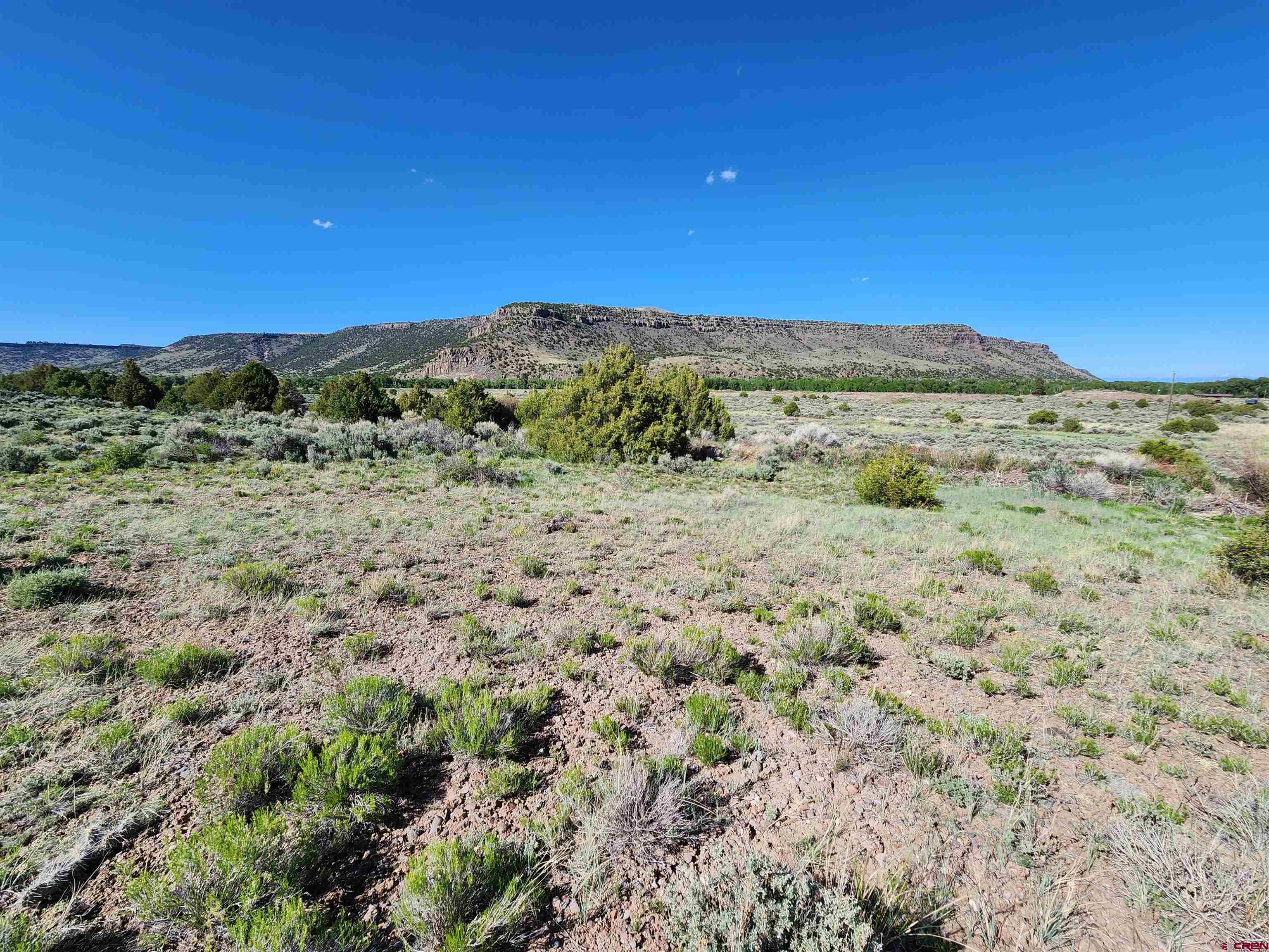 a view of an outdoor space with a mountain in the background