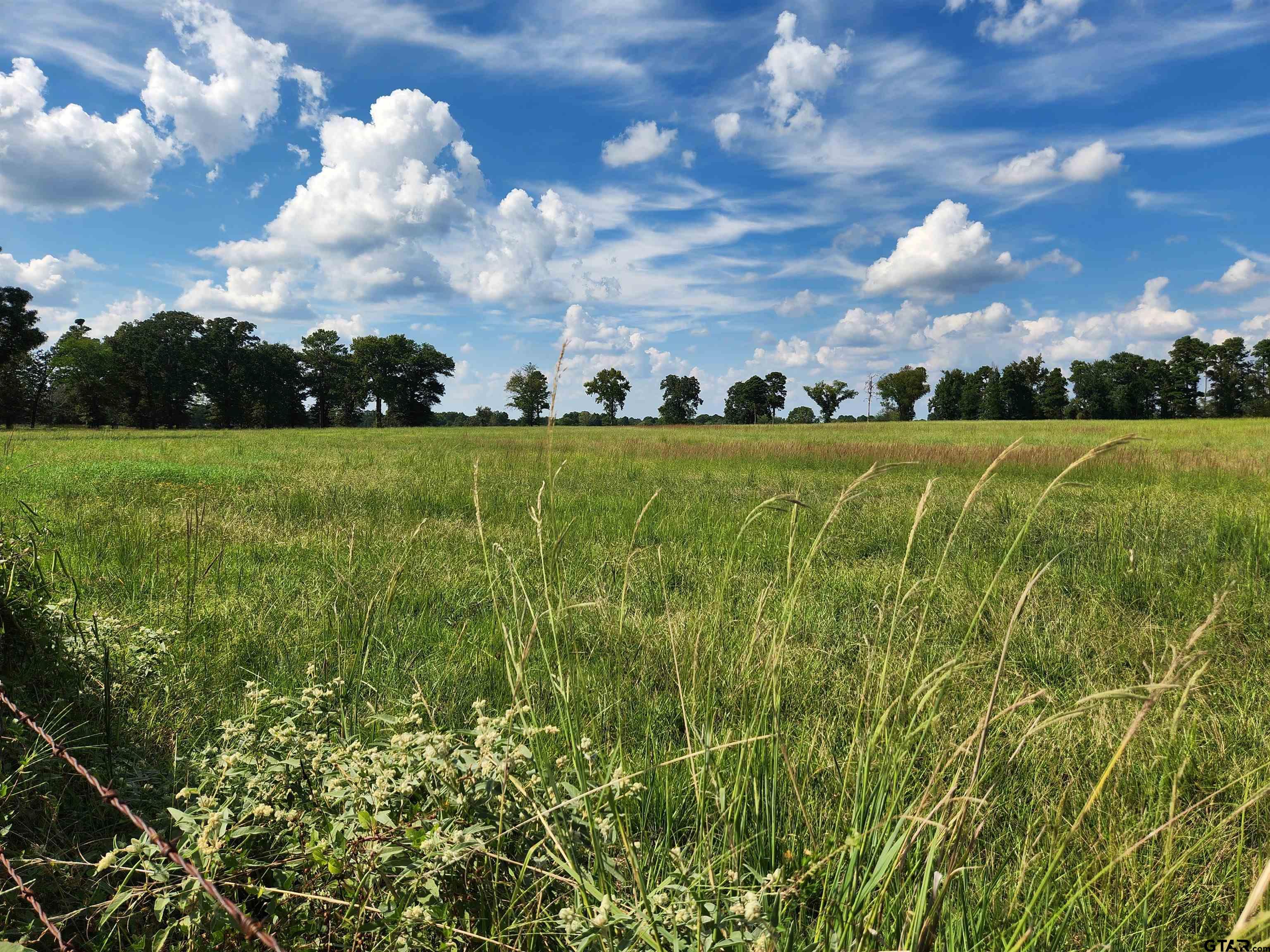 a view of a golf course with green space