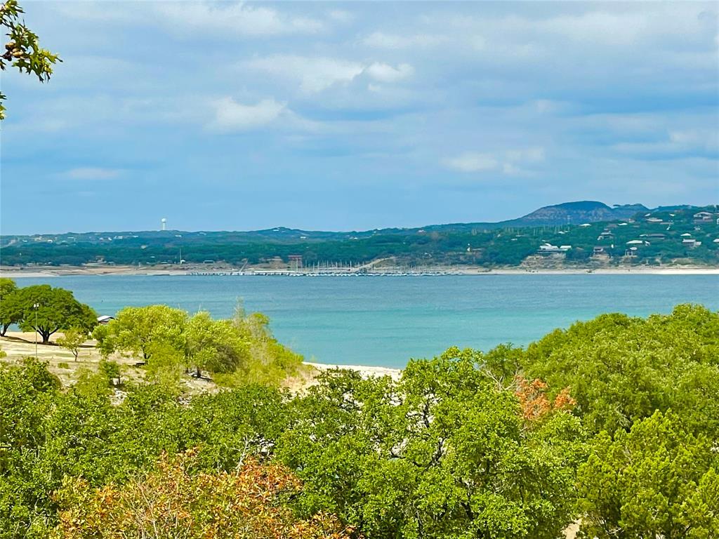 a view of a lake with a city