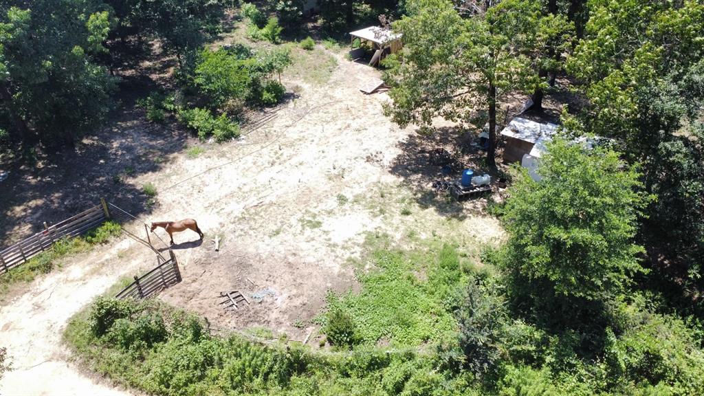 a view of a yard with a tree