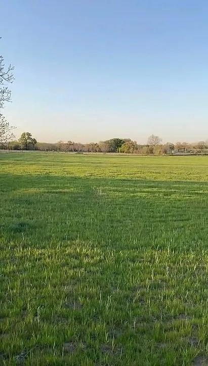 a view of a lake from a yard