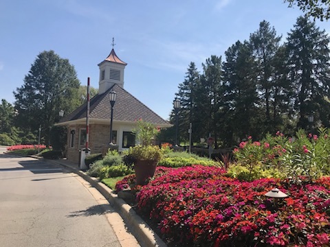 a front view of a house with a yard and flower plants