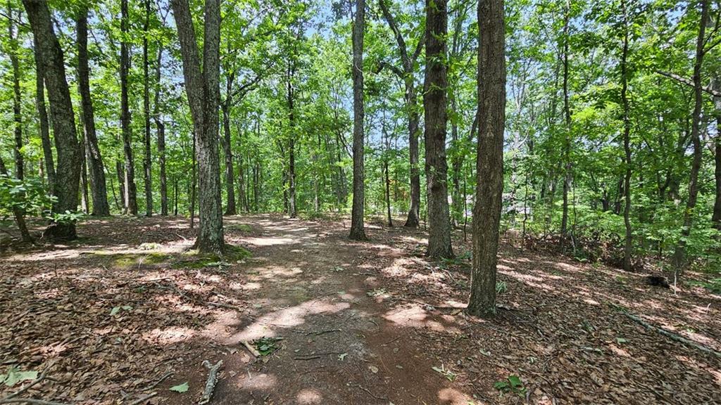 a view of outdoor space with lots of trees