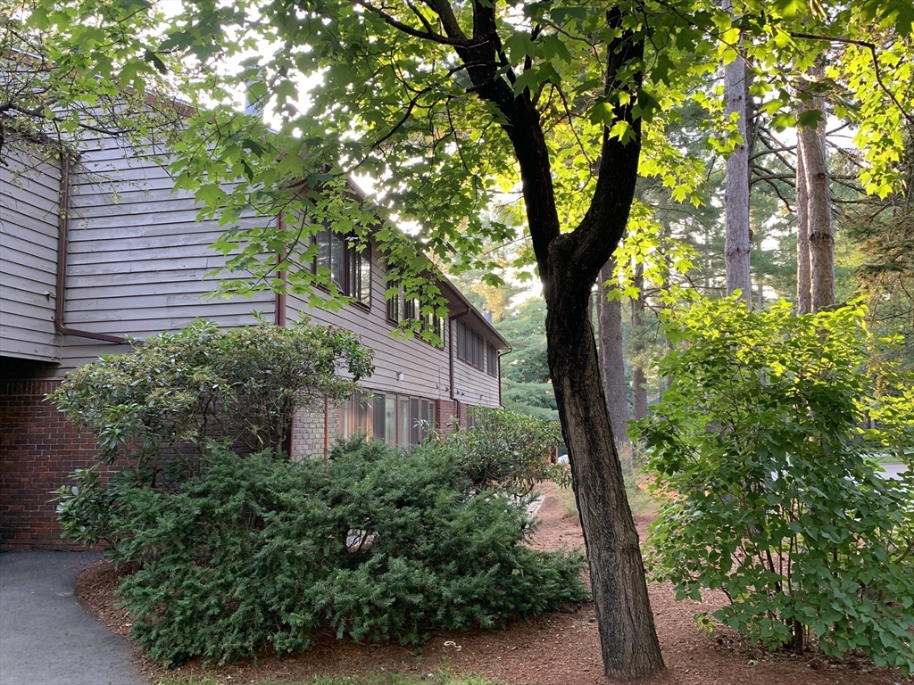 a view of a house with large tree