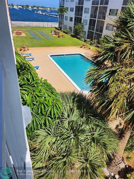 a view of a swimming pool with a yard