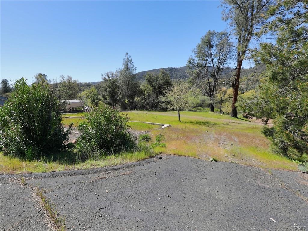 a view of outdoor space with trees all around