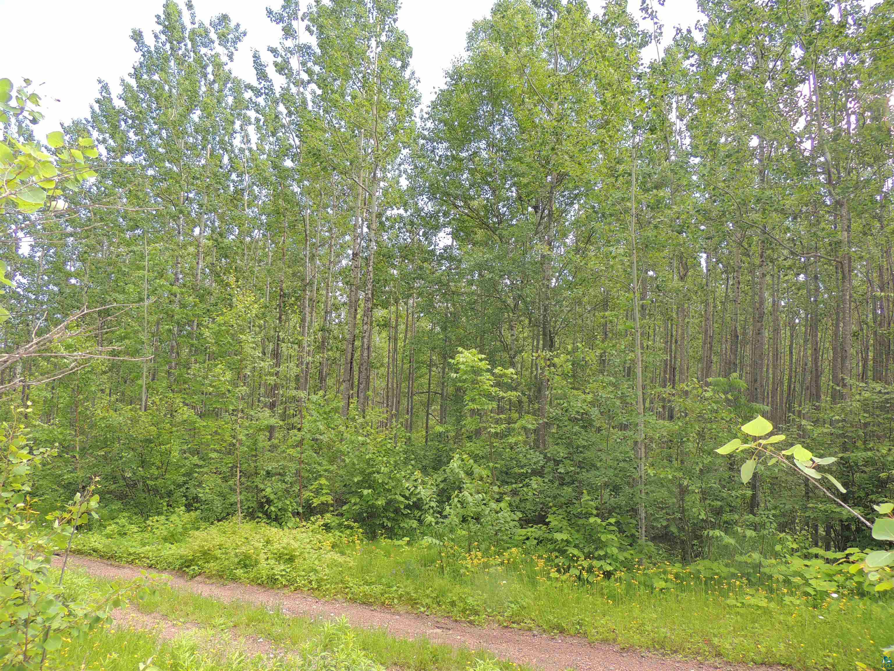 View of landscape