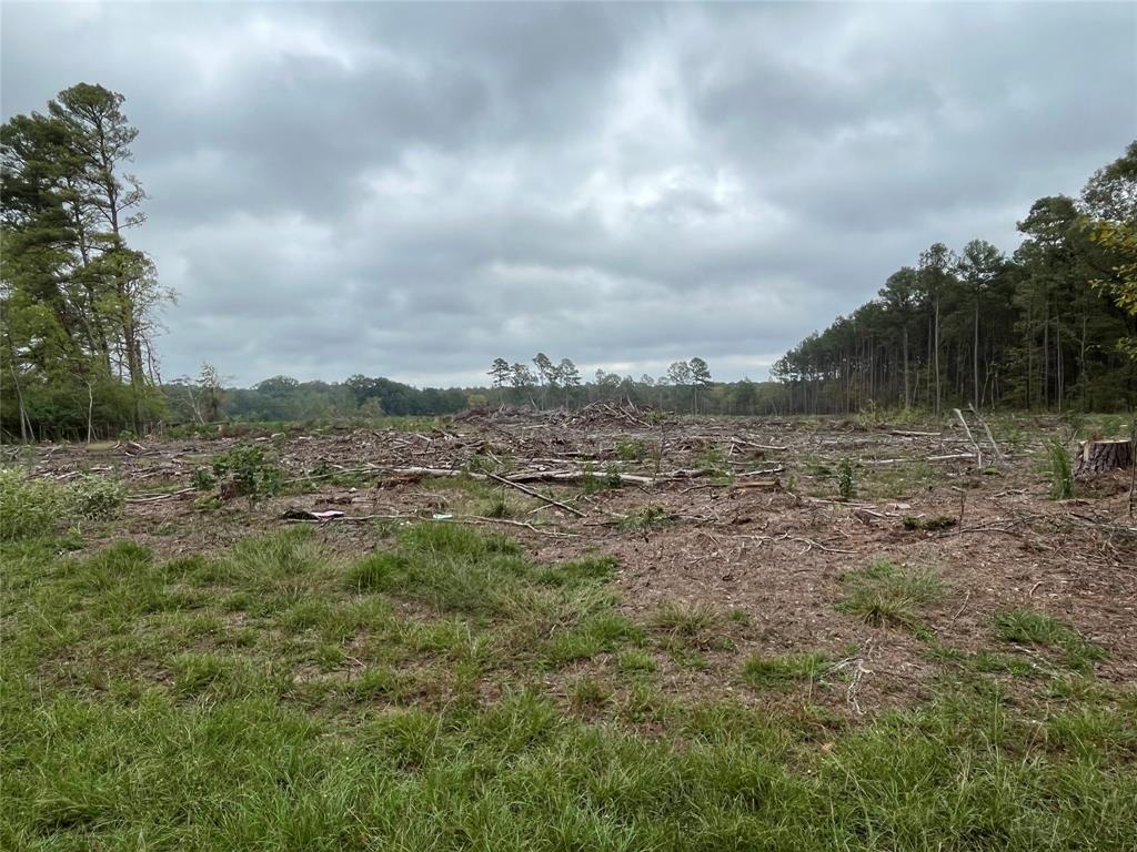 a view of a field with trees in background