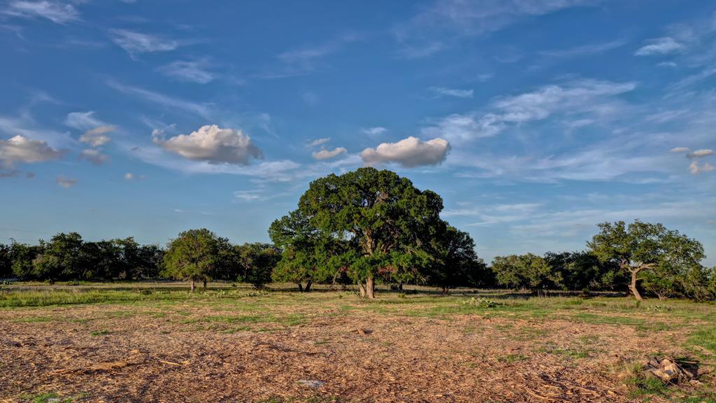 a view of a big yard