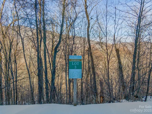 $100,000 | Lot 3 Mountain Gait Drive | Egypt Township - Yancey County