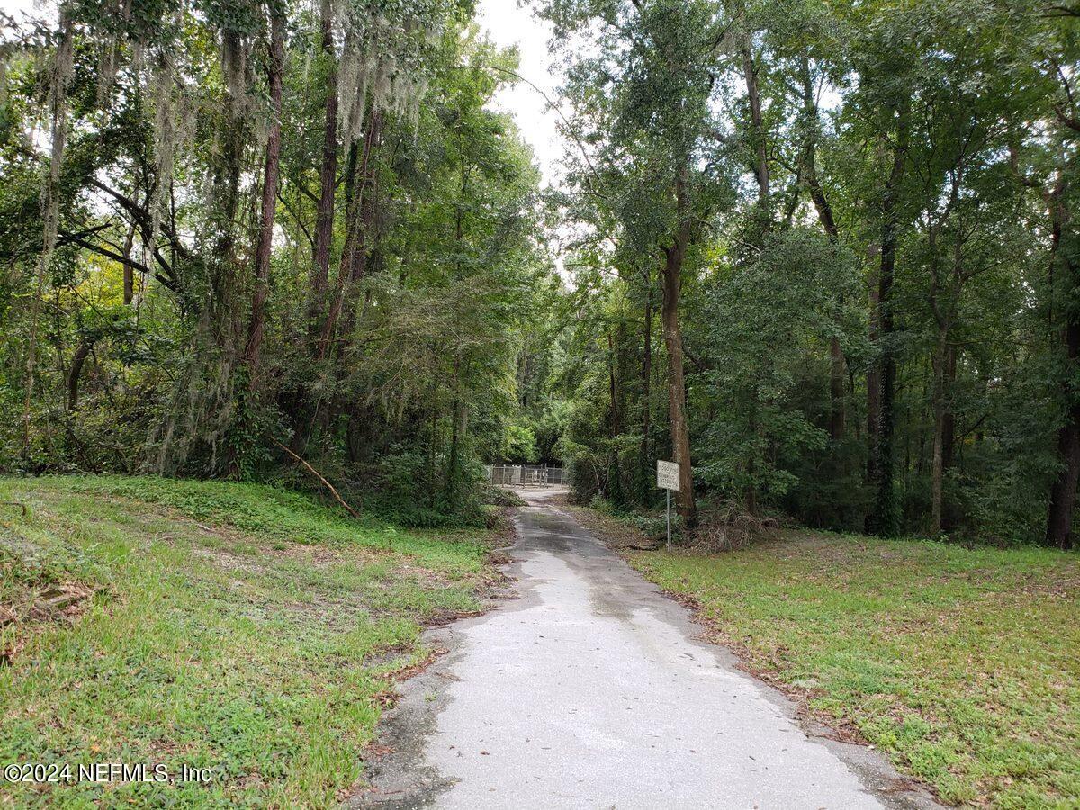 a view of a park with large trees