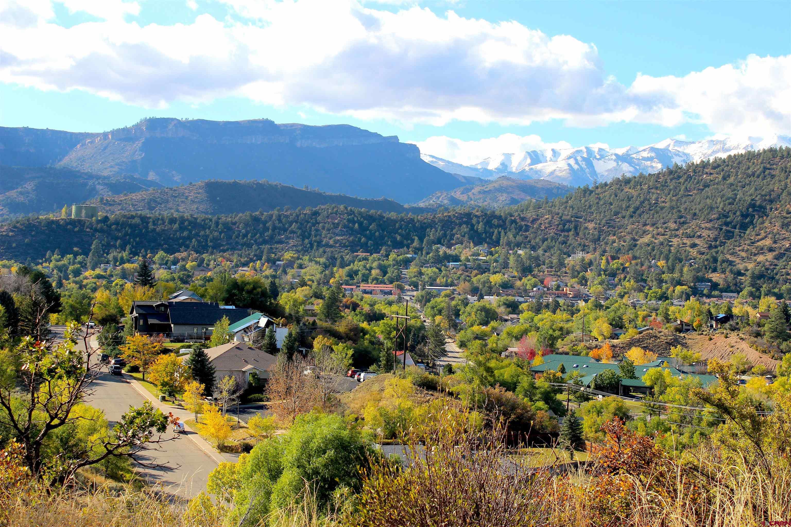 a view of a city with mountains in the background