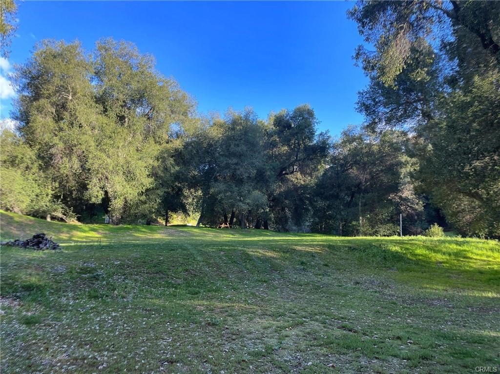 a view of a grassy field with trees