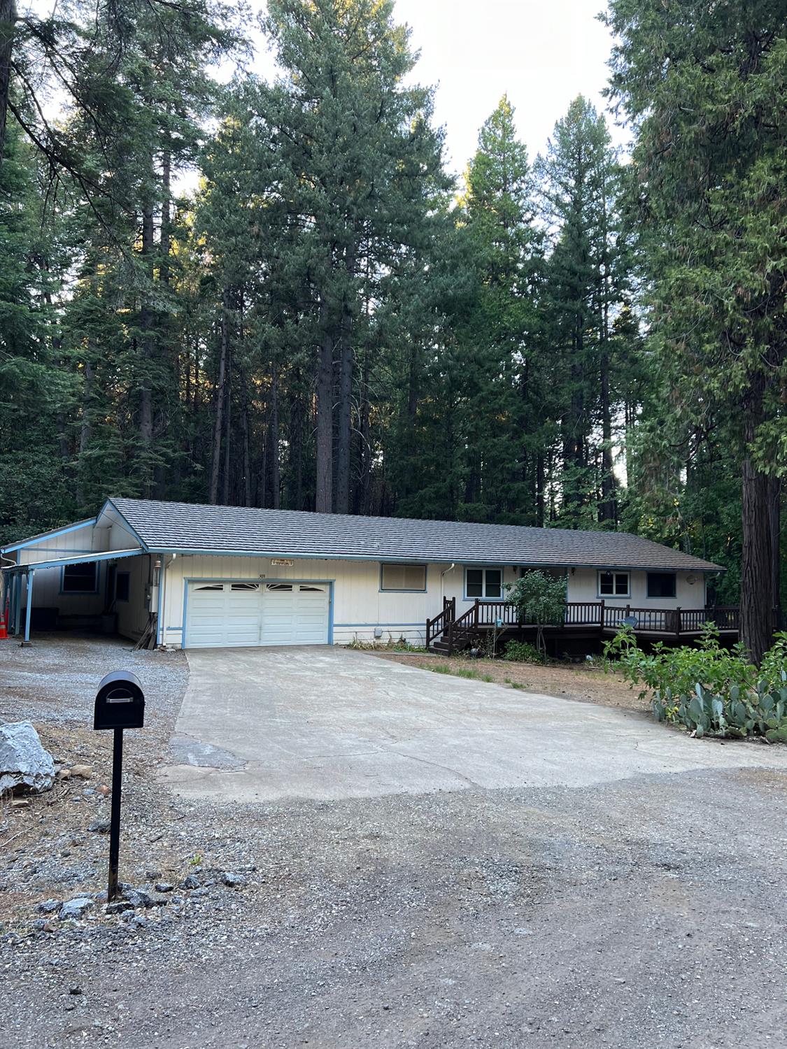 a view of backyard with trees