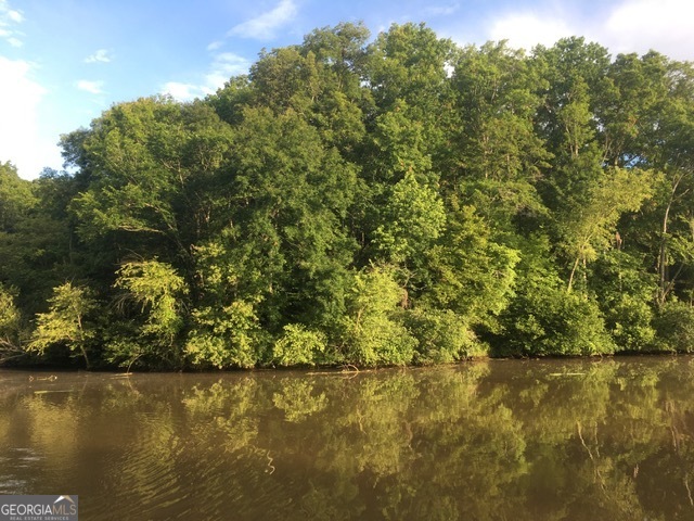 a view of lake