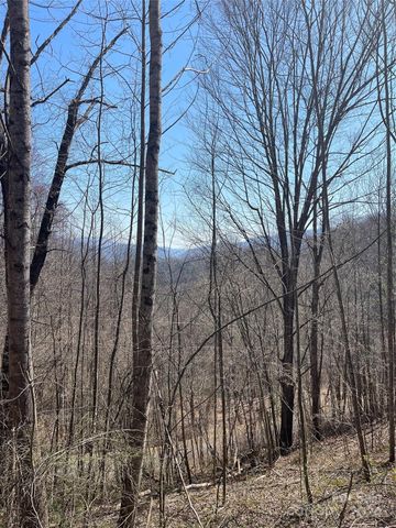 $39,900 | 0 Trotters Trail | Jonathan Creek Township - Haywood County