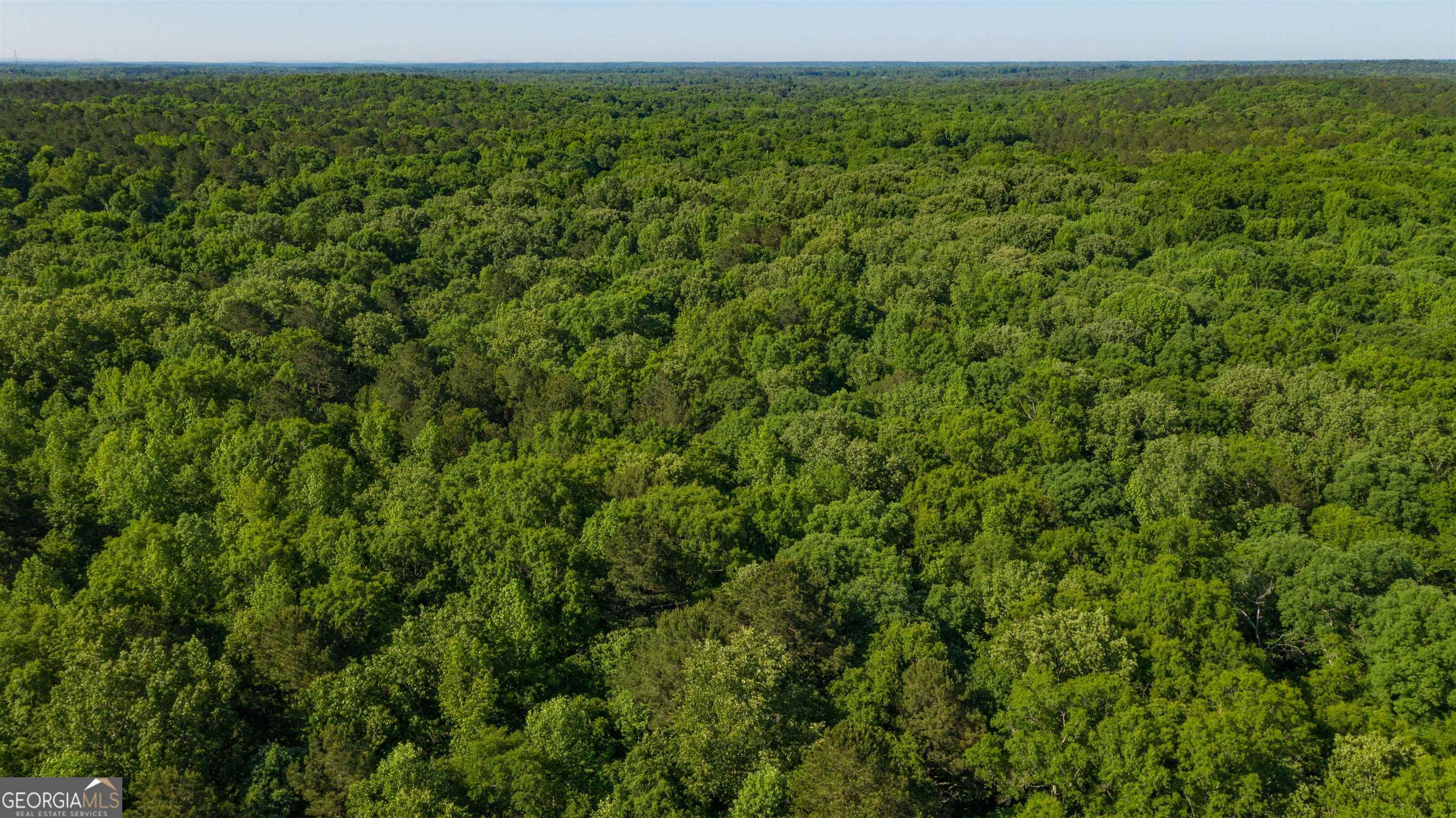 a view of a green field with lots of bushes