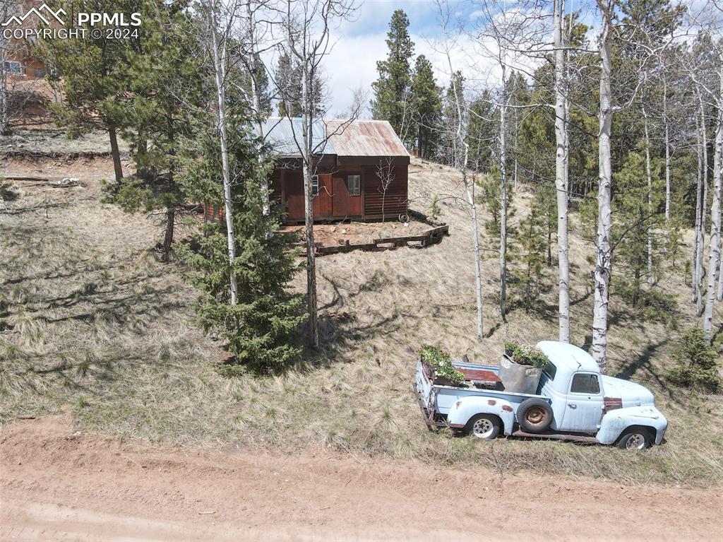 a car parked in front of a road with large trees