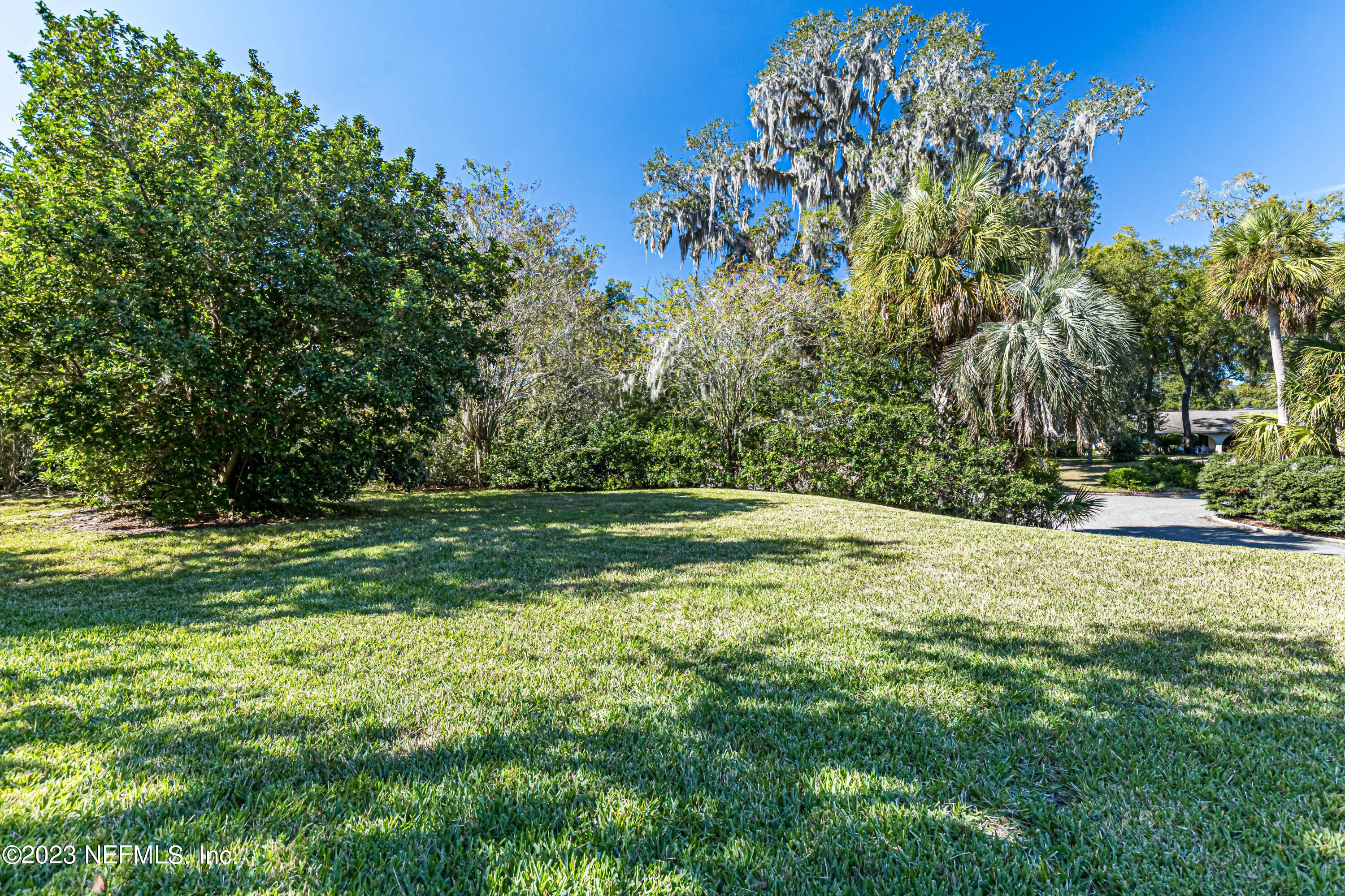 a view of a field with a tree