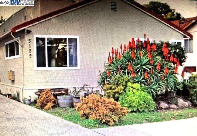 a front view of a house with flowers