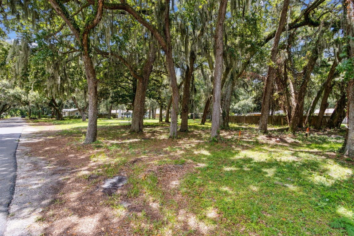 a view of outdoor space with trees