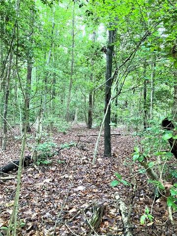 $29,900 | 0 Zion Branch Road