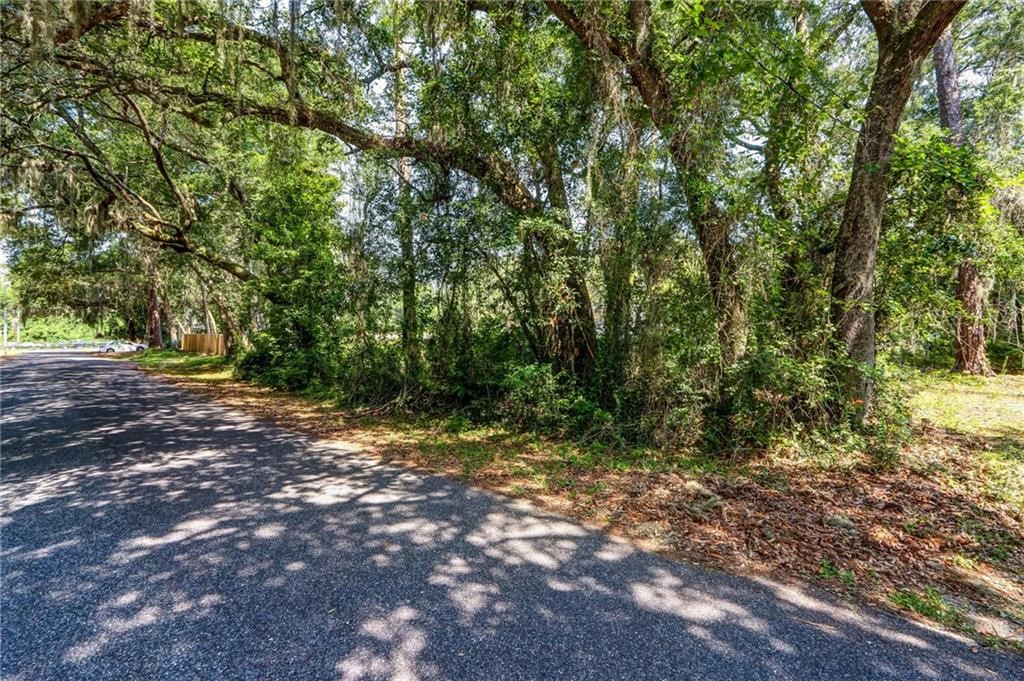 a view of outdoor space with trees