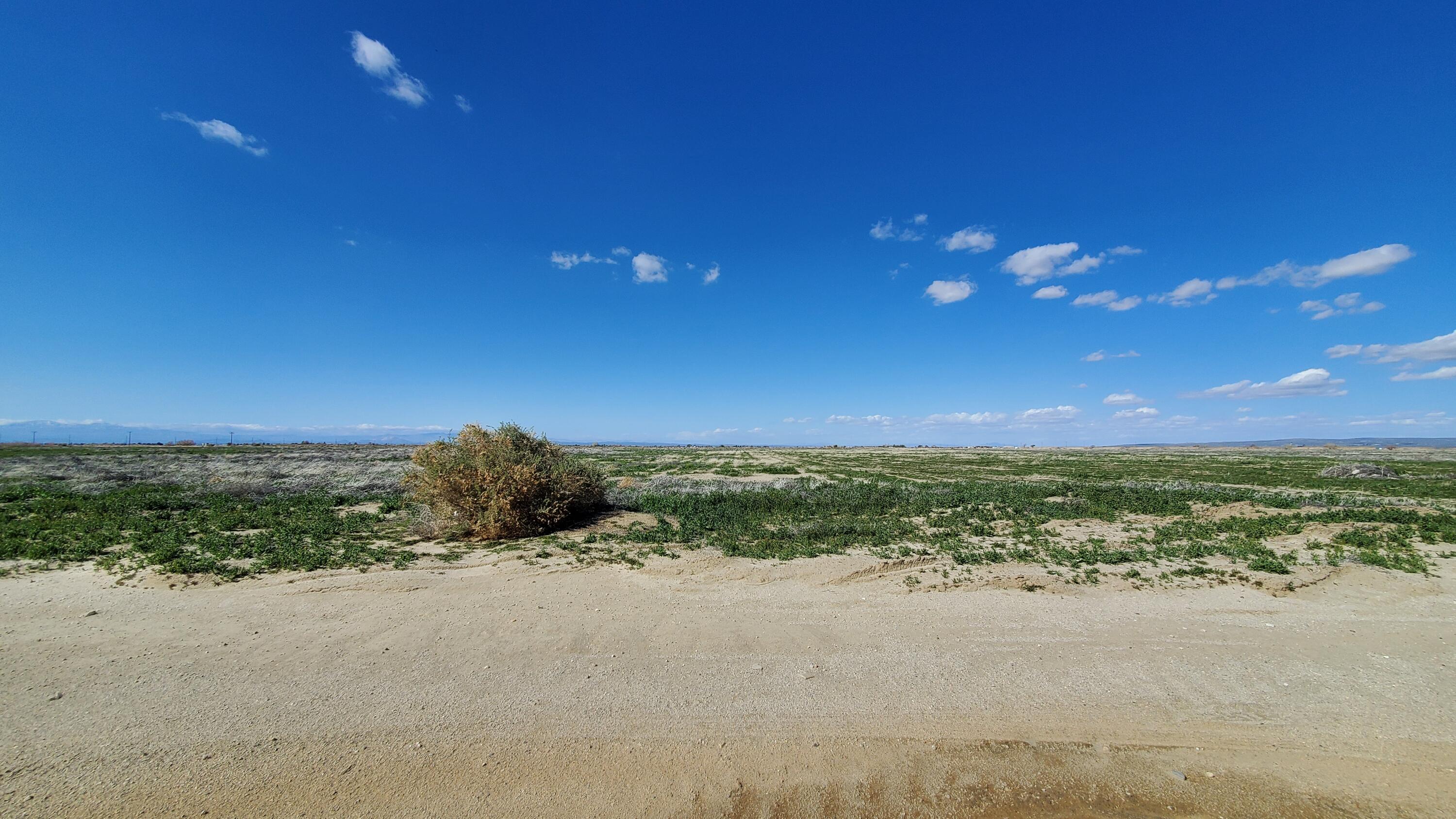 a view of an ocean and a yard