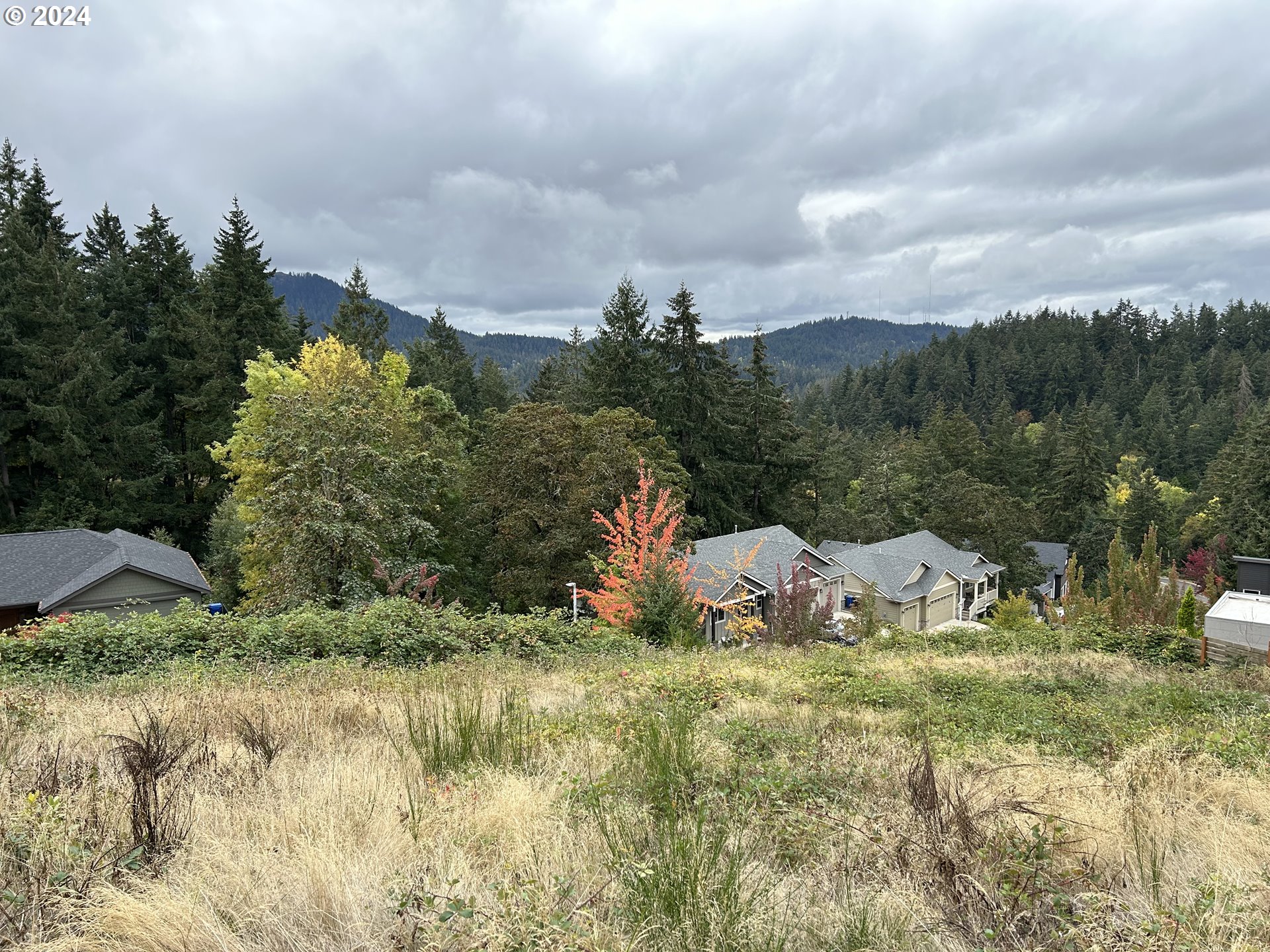 a view of a yard with an outdoor space