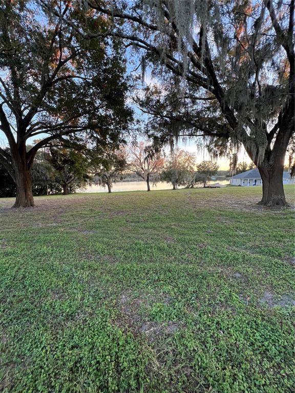 a view of yard with green space