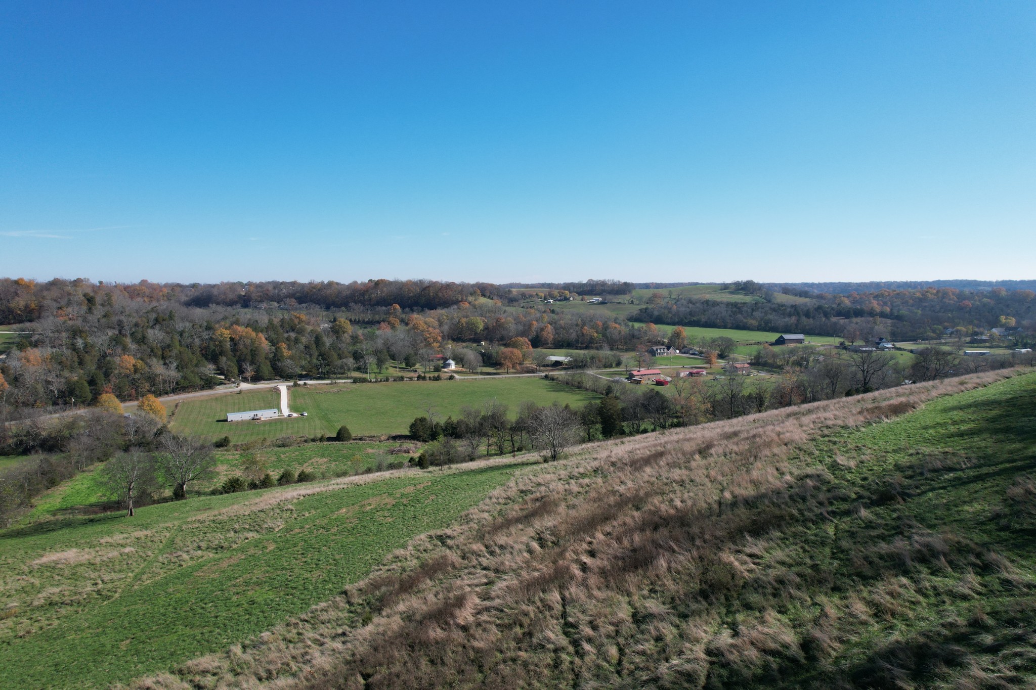 a view of a lush green space