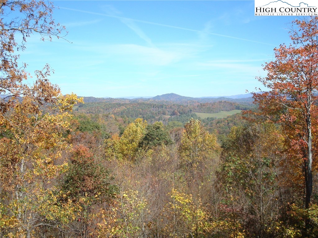 a view of mountain with trees