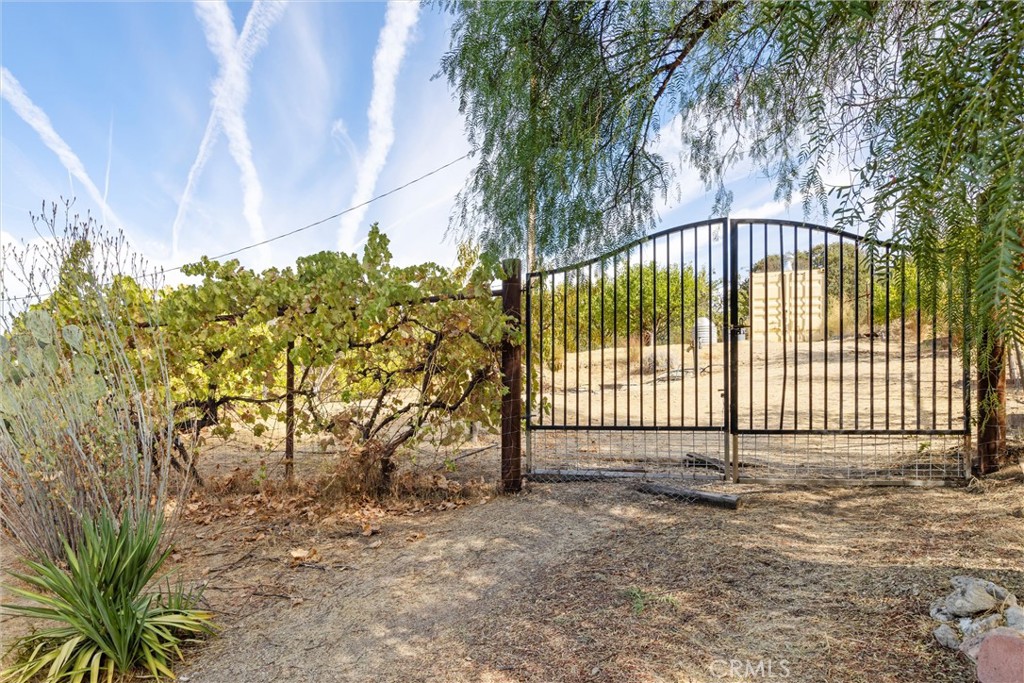 a view of a wrought iron fence