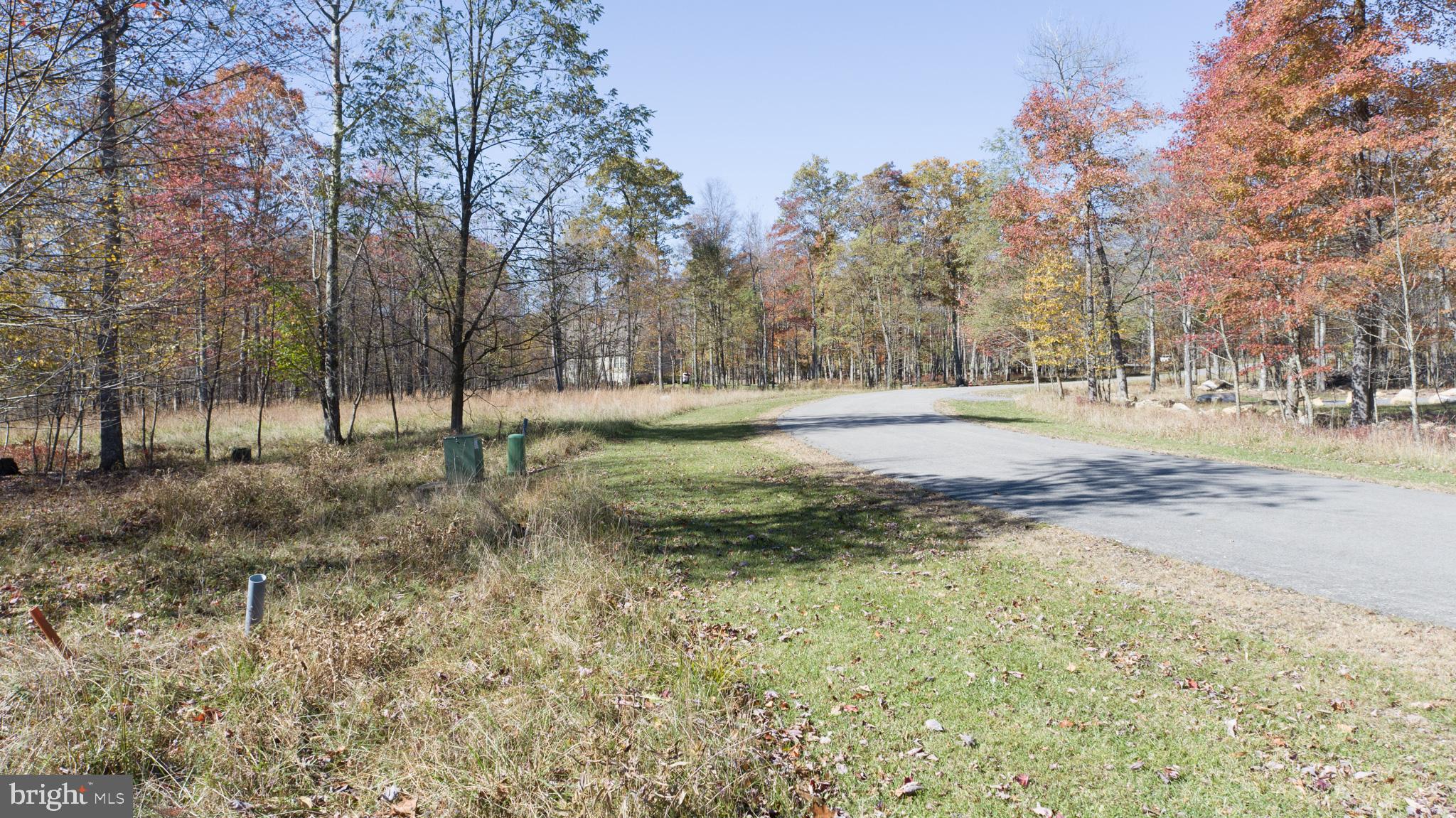 a view of dirt yard with trees