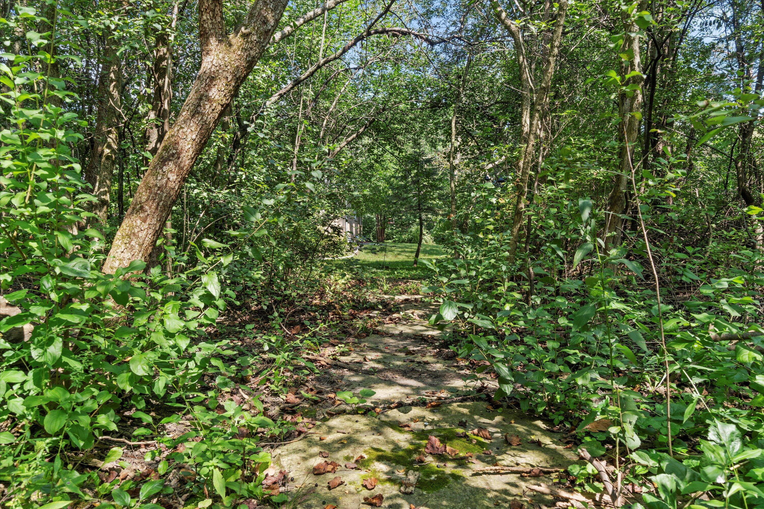 View toward North side of lot